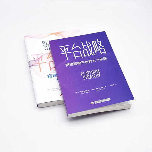 平台战略：搭建智能平台的七个步骤 商品图6