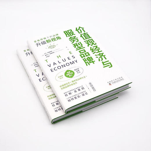 价值观经济与服务型品牌：变化环境下的品牌升级新视角 商品图4