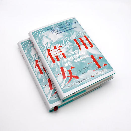 信用女士：18世纪新英格兰城市的妇女、金融和法律（精装典藏版） 商品图4