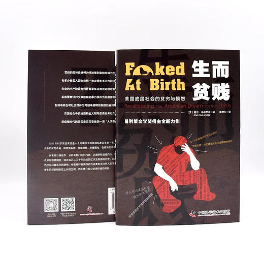 生而贫贱：美国底层社会的贫穷与愤怒（比《乡下人的悲歌》更真实的描述美国底层社会问题！） 商品图7