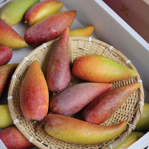 🥭三亚树上熟 · 贵妃芒 · 甘甜多汁 · 细腻无渣 · 香味浓郁 商品图4