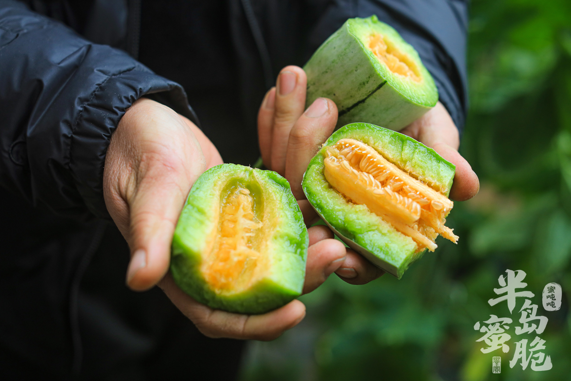 【羊角蜜瓜 48小时发货 4.5斤装】脆甜爽口，甘甜流蜜，皮薄肉脆、香甜多汁