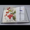 至美邱园·馆藏手绘植物图谱（观赏类） 商品缩略图7