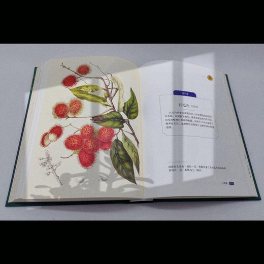 至美邱园·馆藏手绘植物图谱（观赏类） 商品图7