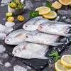 【3份实惠装】吕四流网银鲳鱼 液氮速冻  鲜嫩紧实 蒜瓣肉质 刺少肉多 商品缩略图0