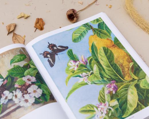 送 《花朵与探险》绝美植物画册·上下篇｜三联中读知识会员（年卡） 商品图10