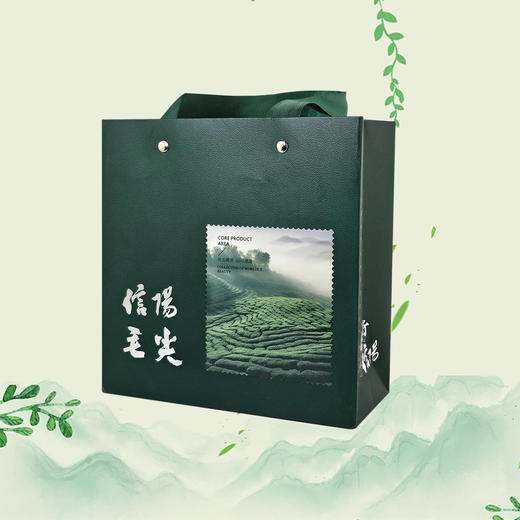 你好信阳【绿.半斤毛尖手提袋】1.8元1条.整捆50个.300个包邮 商品图1