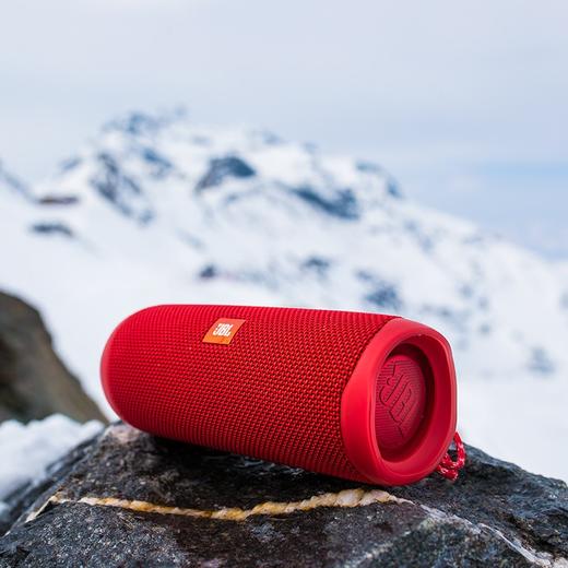 JBL_FLIP5_音乐万花筒五代_便携式蓝牙音箱_低音炮_防水设计_支持多台串联_户外迷你音箱_夜空黑 商品图4