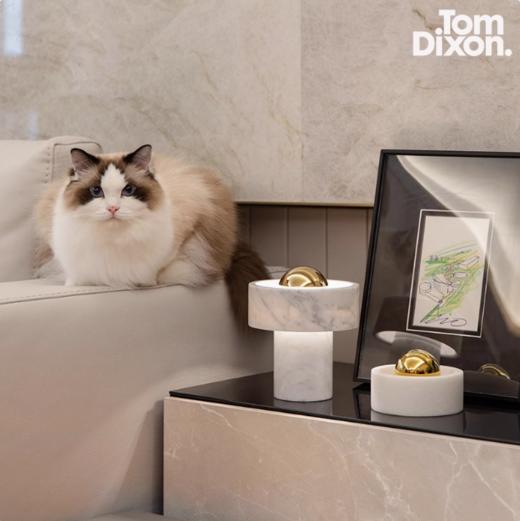 TomDixon大理石创意便携卧室台灯现代简约高级轻奢生日礼物STONE 商品图2