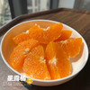 【六椀菱星露橘】一款自然成熟的无核沃柑，甜嫩爆汁，风味十足，好吃不上火 商品缩略图7