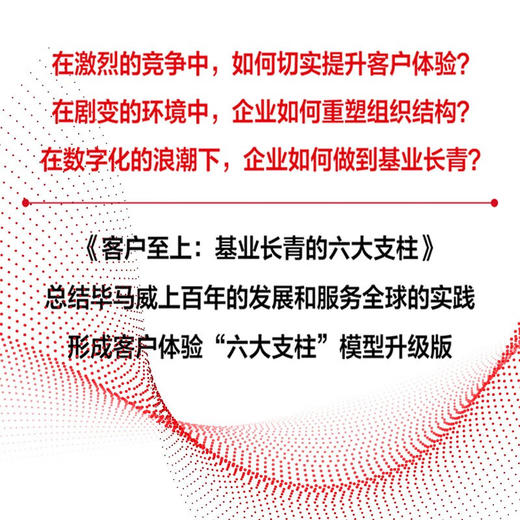 客户至上：基业长青的六大支柱  毕马威“六大支柱”模型升级版 商品图3