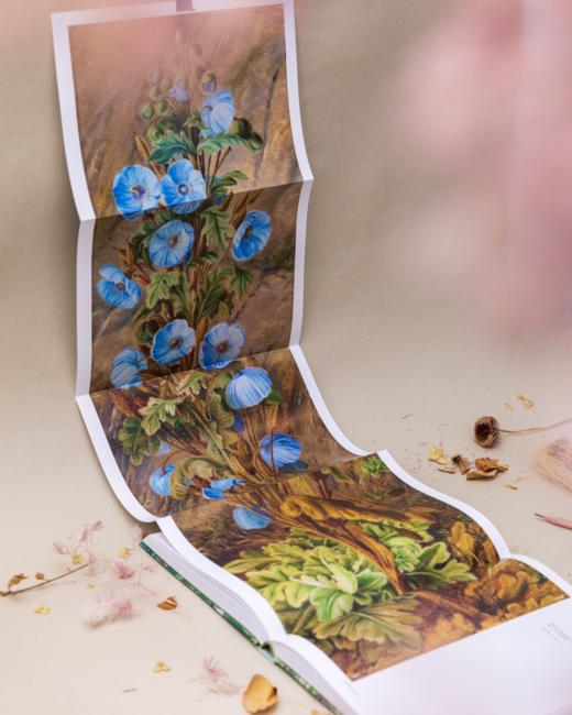 送 《花朵与探险》绝美植物画册·上下篇｜三联中读知识会员（年卡） 商品图6