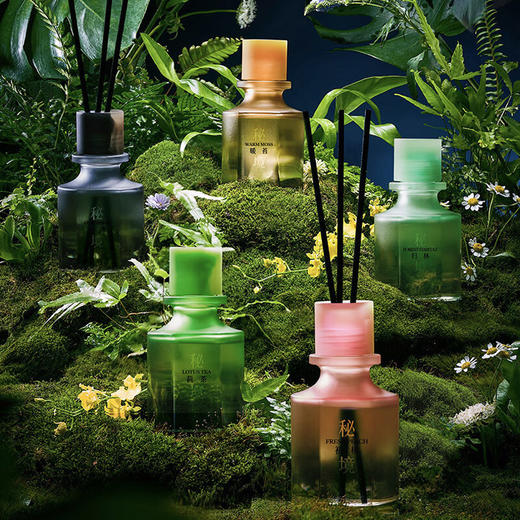 【6F】多样屋无火香薰礼盒室内持久扩香器摆件高级香氛送礼女生圣诞节礼物 秘境 商品图0