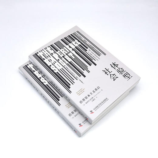 体验型社会：消费资本主义重启 商品图4