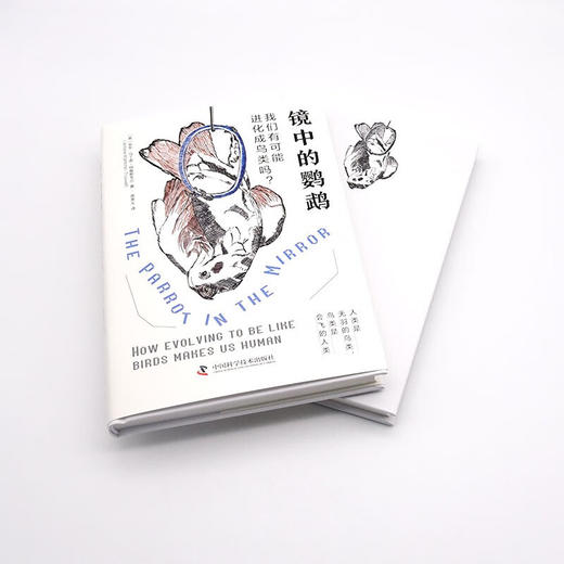 镜中的鹦鹉：我们有可能进化成鸟类吗？（精装典藏版） 商品图7