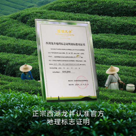 西湖龙井 明前特级50g铁罐装（M2） 商品图6