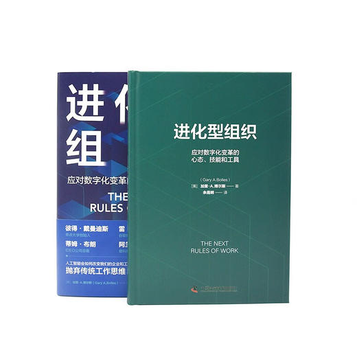 进化型组织：应对数字化变革的心态、技能和工具（精装典藏版） 商品图7
