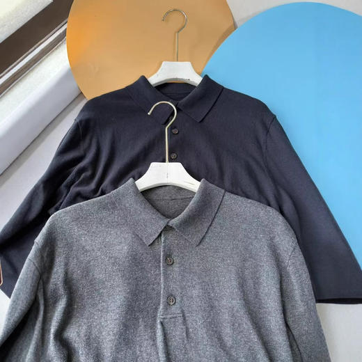 简约大方气质拉满常青款2025年春款翻领长袖polo衫针织衫上衣男款！ 商品图0
