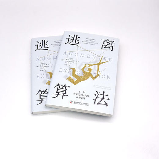 逃离算法：下一个劳资关系时代的权力重组 商品图5