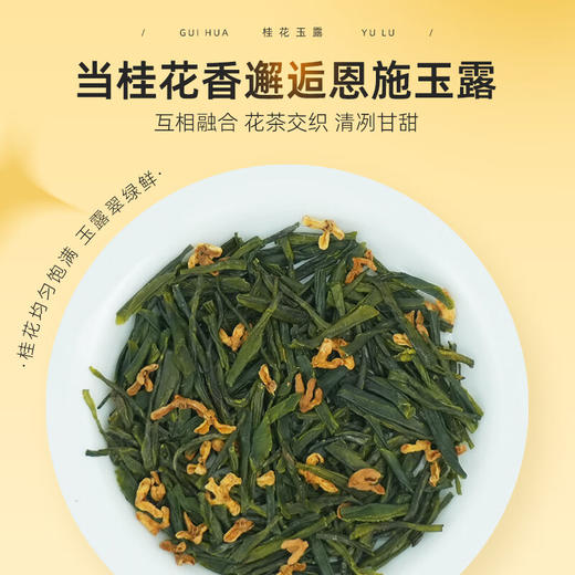 茶马世家丨桂花玉露 花茶 茶马世家桂花玉露（追香）盒装 45g（2.5g*18袋）桂花绿茶 商品图1