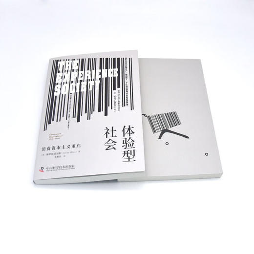 体验型社会：消费资本主义重启 商品图6