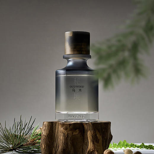 【6F】多样屋无火香薰礼盒室内持久扩香器摆件高级香氛送礼女生圣诞节礼物 秘境 商品图6