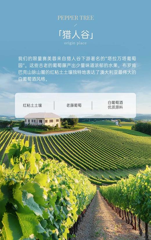 完税  澳大利亚酒  胡椒树白金系列猎人谷塔拉万塔赛美蓉干白葡萄酒2013 商品图4