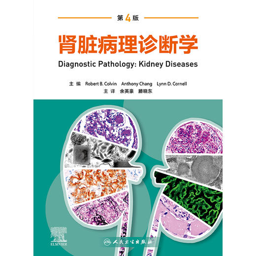 肾脏病理诊断学 商品图1