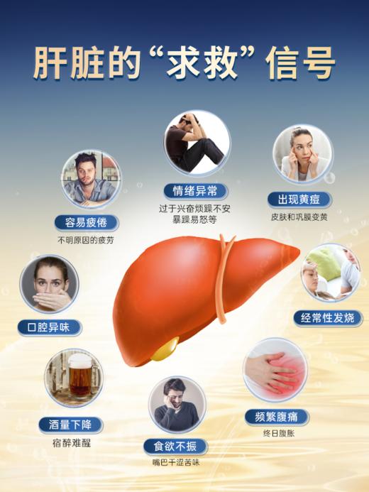 Feel Flower 斐利德 水飞蓟籽油姜黄复合饮品 12支 商品图1