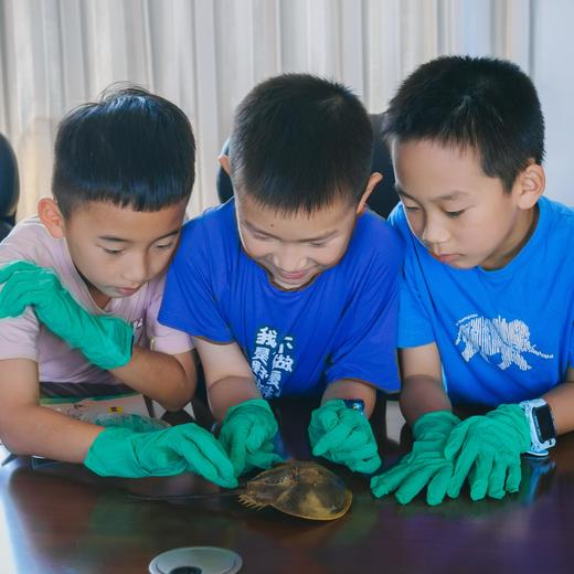 何以岭南，在百越之地约会广西神奇生物【山海经】 7天6晚 商品图4