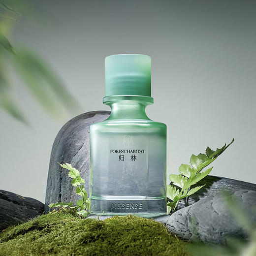 【6F】多样屋无火香薰礼盒室内持久扩香器摆件高级香氛送礼女生圣诞节礼物 秘境 商品图4