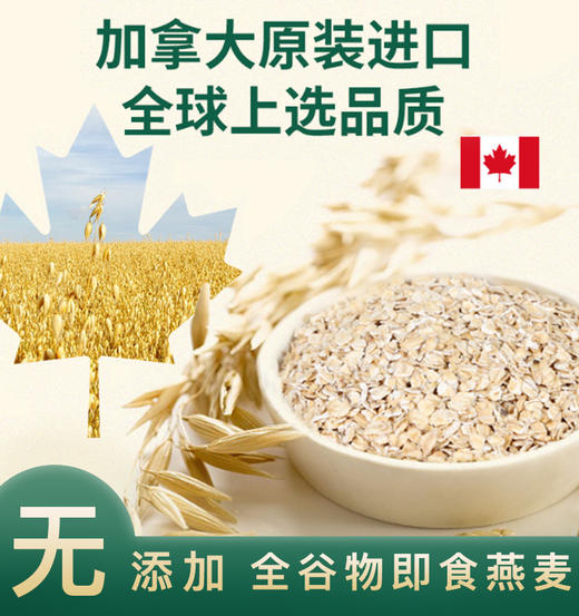 加拿大有机快熟燕麦片 原装进口 天然麦香 健康粗纤维 快速健康早餐 |百里食 商品图0