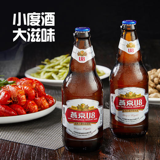 燕京 U8普通款500ml*12瓶  整箱装 普通款明星款混合发货） 商品图3