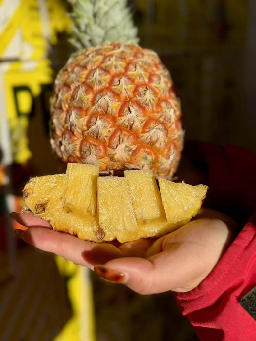 芒果凤梨🍍又香！又甜！又多汁！芒果和凤梨的完美结合，百分百纯甜！5斤/箱，3头 商品图1