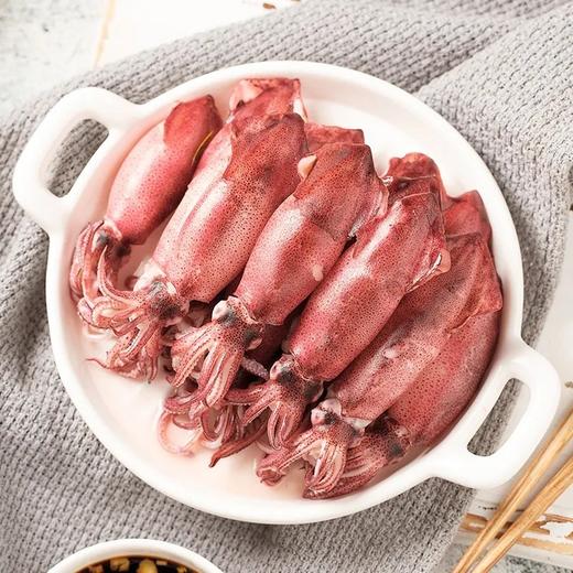 东山小管鱿鱼大合集 商品图0