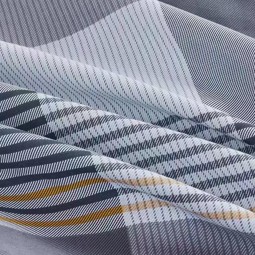路易卡罗典雅纯棉四件套---蒙可 200*230cm 商品图2
