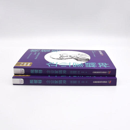 熊彼特：企业家精神 一读就懂的经典经济学 商品图6