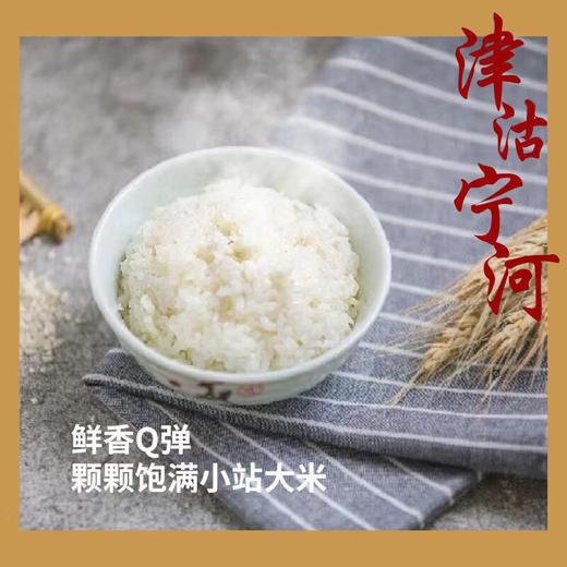 津沽宁河大米5公斤 商品图1