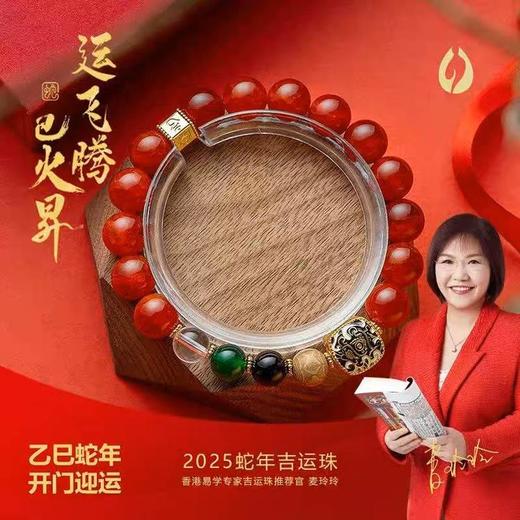 2025年蛇年巳火飞昇吉运珠手串 商品图0