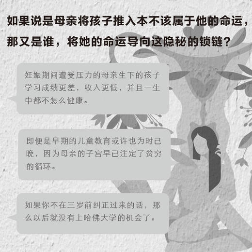 母体记忆：20世纪母婴科学研究史 商品图2