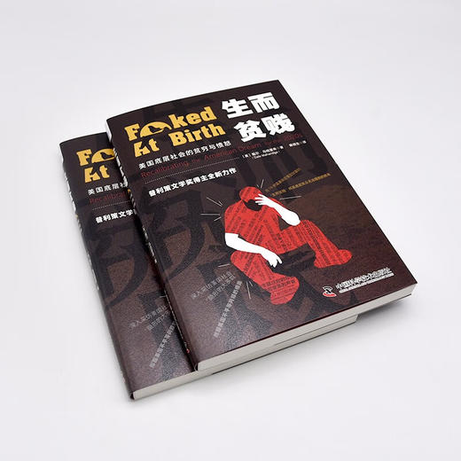 生而贫贱：美国底层社会的贫穷与愤怒（比《乡下人的悲歌》更真实的描述美国底层社会问题！） 商品图4