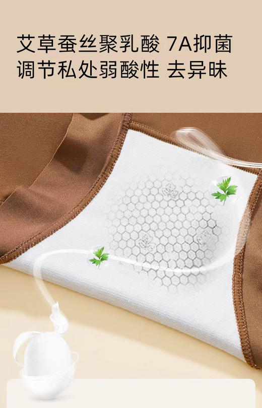 ADY2607艾草养护肌底裤 商品图5