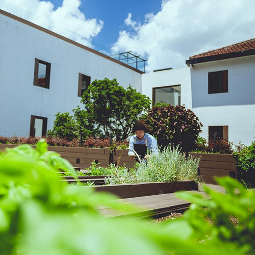 音昱听堂正念烹饪课 商品图0