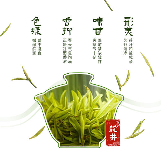 （2026新茶）钱塘龙井 雨前一级250g方包（Y1） 商品图6
