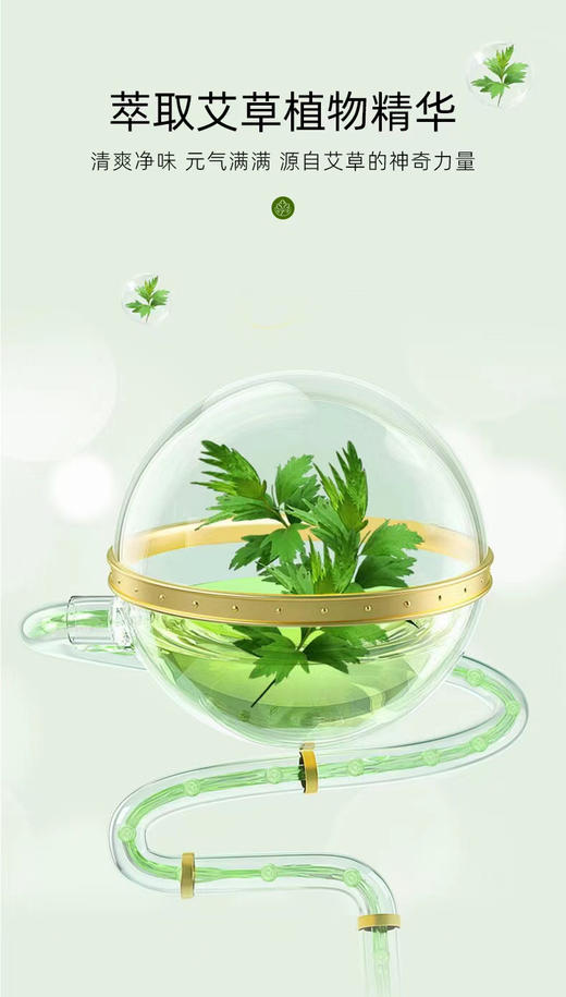 ADY2607艾草养护肌底裤 商品图12