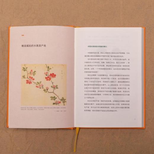 中国食物：水果史话 蔬菜史话 粮食史话青少年科普读物 商品图1