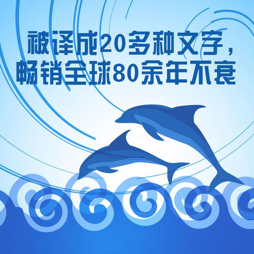 海风下：以鸟和鱼之眼，看海洋的四季流转  海洋环保三部曲系列丛书（精装典藏版） 商品图2