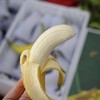 🔥🔥3斤送1斤🍌佳丽香蕉，软糯香甜，肉质丝滑细腻 /3斤（16-30根） 商品缩略图1