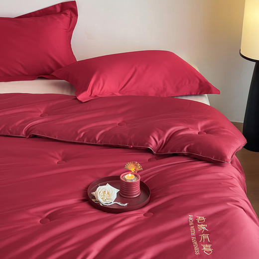 自然醒吾家有喜60支长绒棉刺绣婚嫁被轻奢新婚喜被20%蚕丝蛋白红色春秋被结婚床上冬加厚（配送婚庆大红手提袋）TD 商品图4