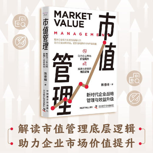 市值管理：新时代企业战略管理与效益升级 商品图0